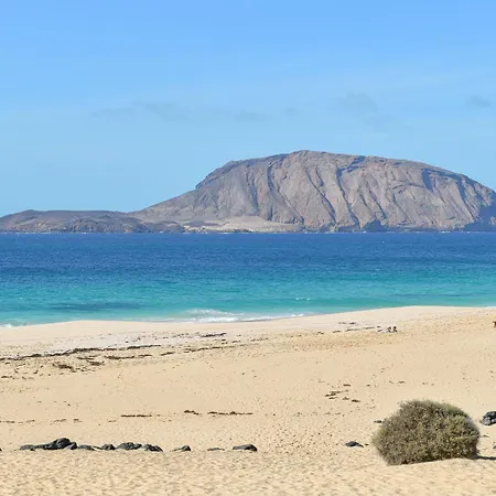 Flores Isla Graciosa